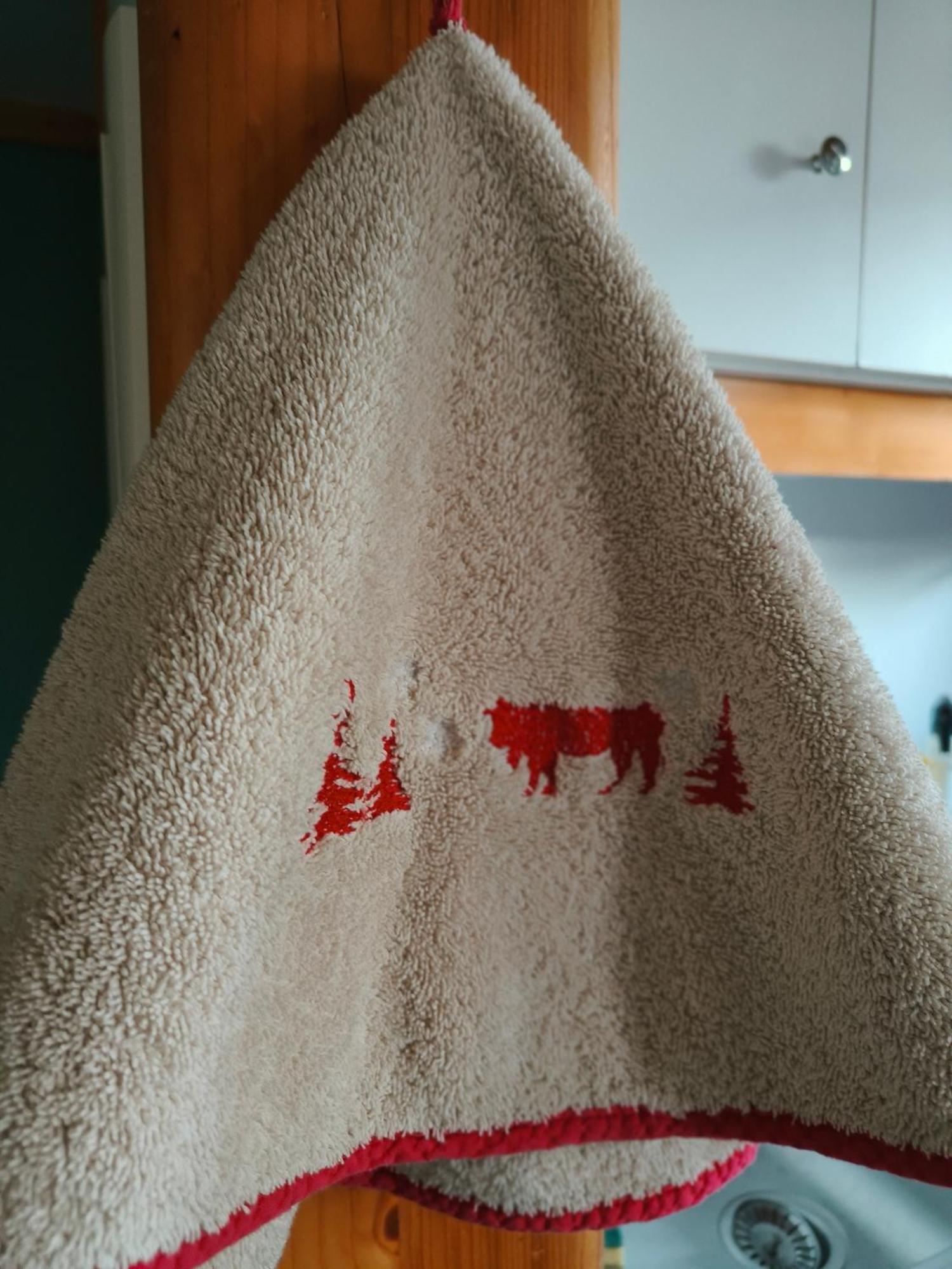 Chalets De La Colagne Bourgs sur Colagne Esterno foto
